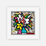 Graceful - Limited Edition