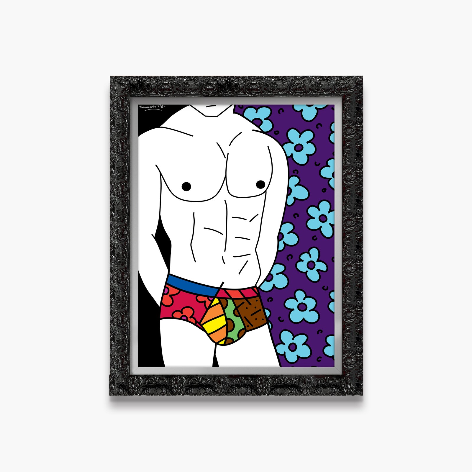 colorful underwear limited edition print colorful decorative collectible gift idea