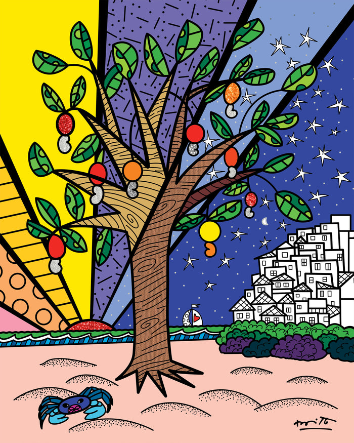 Favelas - Growing Up Collection - Limited Edition