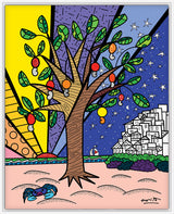 Favelas - Growing Up Collection - Limited Edition