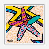 SUNNY ISLES STARFISH- Limited Edition Print