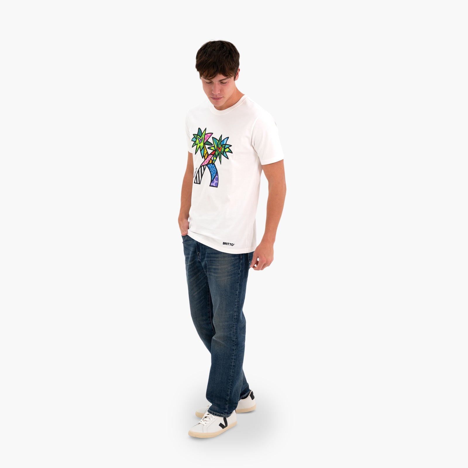 paradise britto tshirt for men colorful decorative collectible gift idea