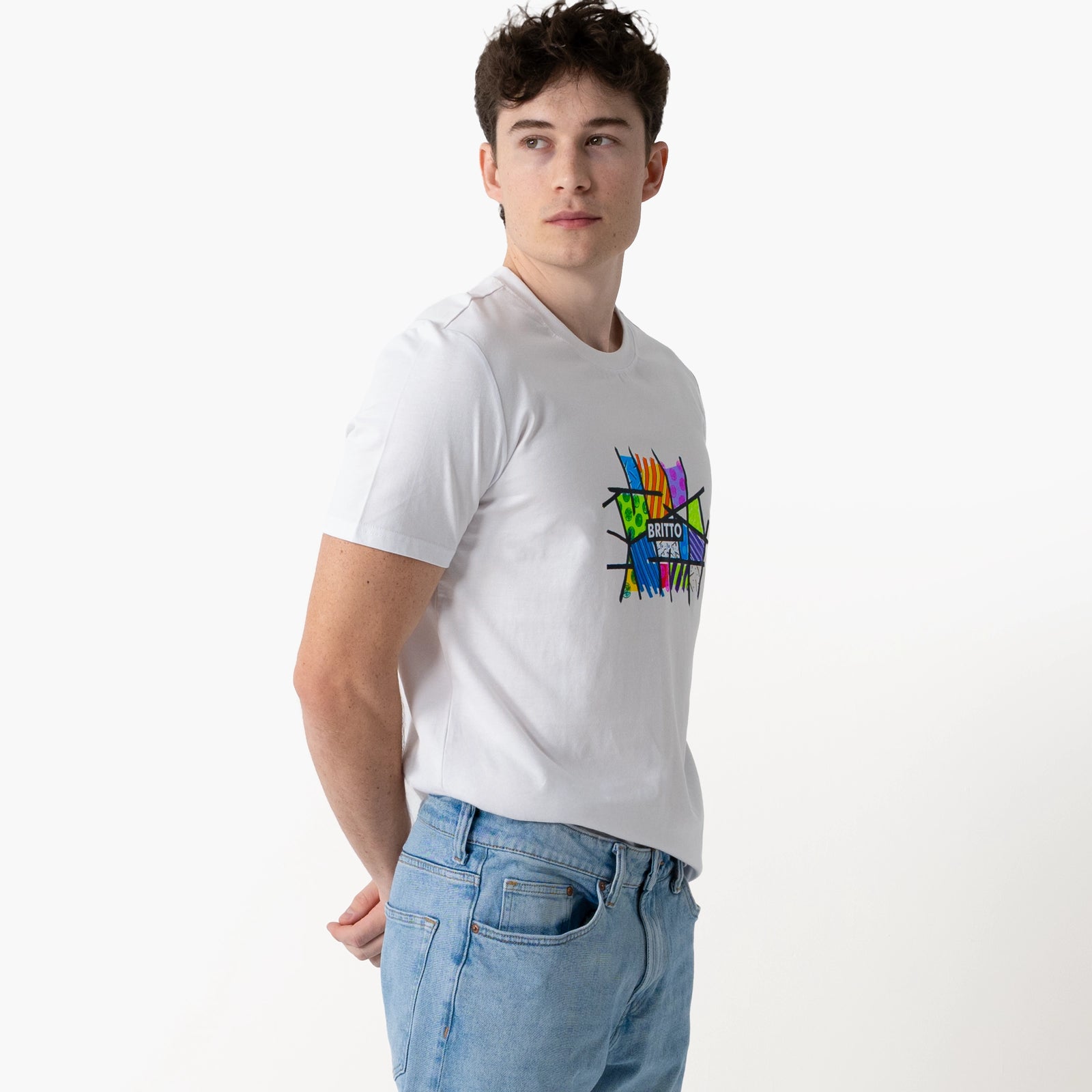 Fun Landscape Britto T-Shirt For Men
