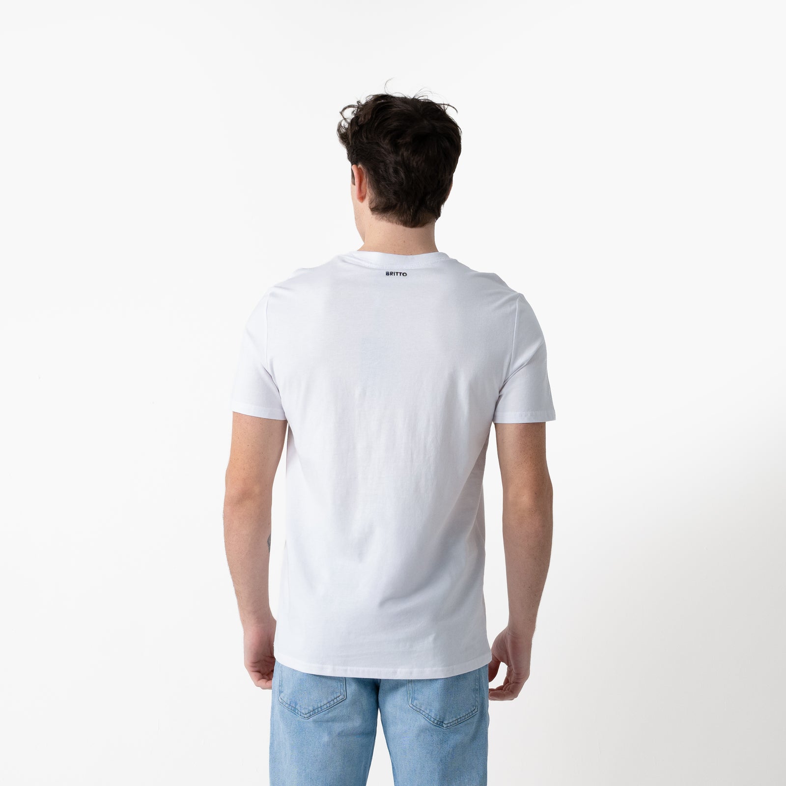 Globe Baby Blue Landscape Britto T-Shirt For Men