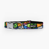 BRITTO® PET Collar and Leash  - Colorful Landscape