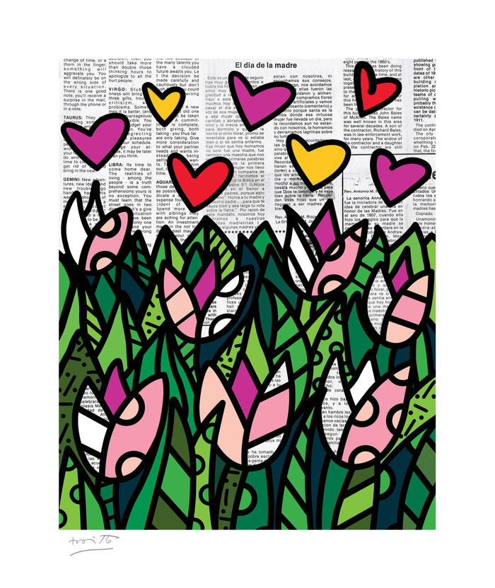 TULIPS - Limited Edition Print