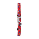 BRITTO® PET Collar and Leash - Red Bones and Hearts
