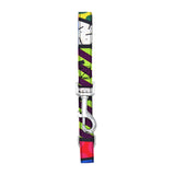 BRITTO® PET Collar and Leash  - Colorful Landscape