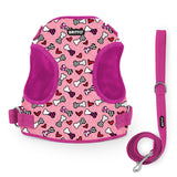 BRITTO® PET Small Dog Harness and Leash  - Pink Bones and Hearts
