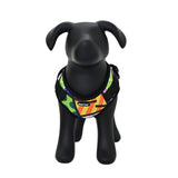 BRITTO® PET Small Dog Harness and Leash  - Colorful Landscape