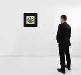 MEDICINAL SILVER - Limited Edition Print