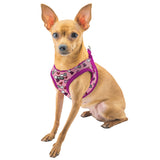 BRITTO® PET Small Dog Harness and Leash  - Pink Bones and Hearts