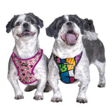 BRITTO® PET Small Dog Harness and Leash  - Colorful Landscape