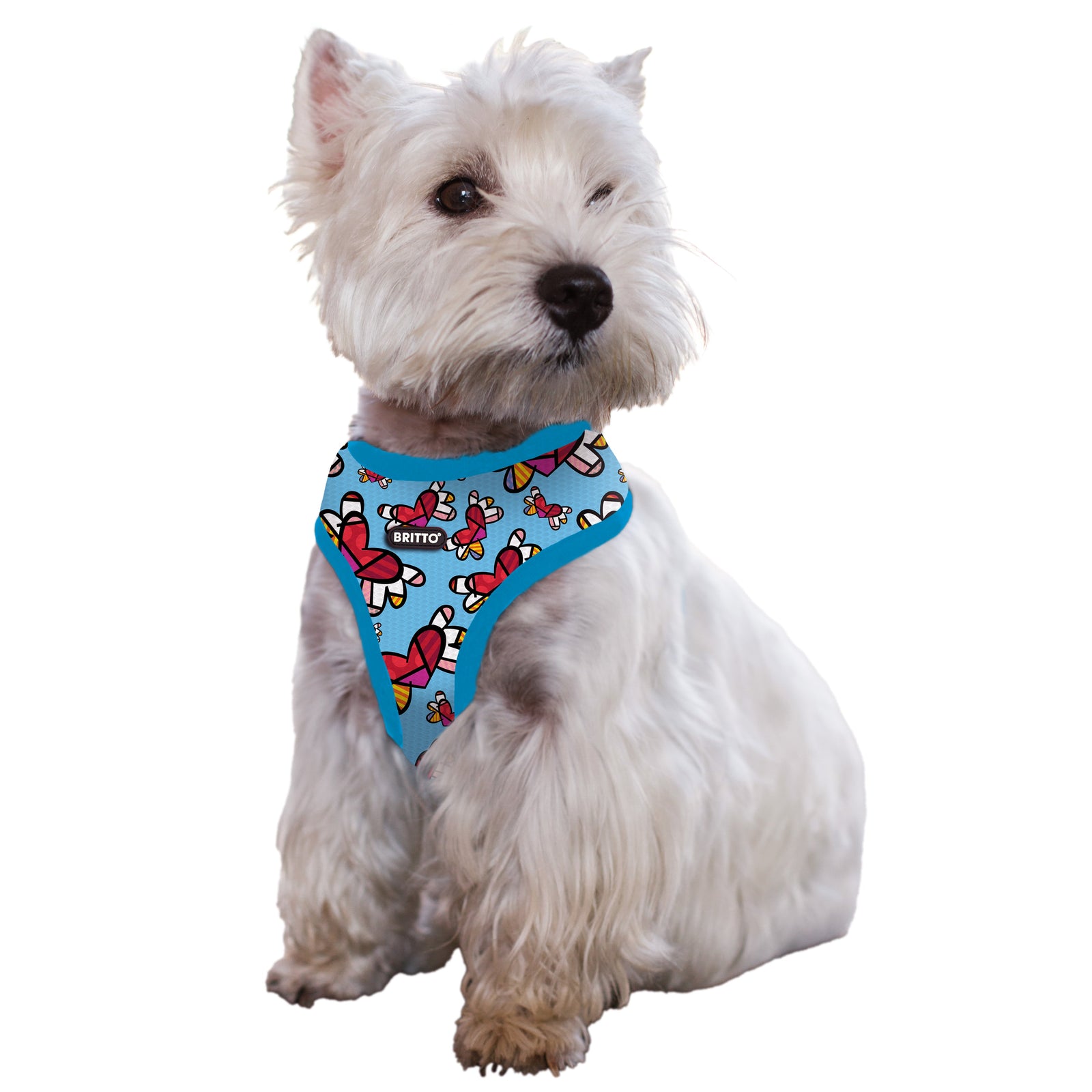 BRITTO® PET Small Dog Harness and Leash - Flying Hearts