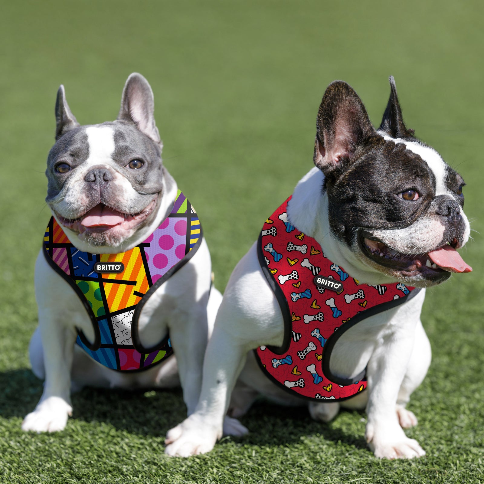 BRITTO® PET Small Dog Harness and Leash - Red Bones and Hearts