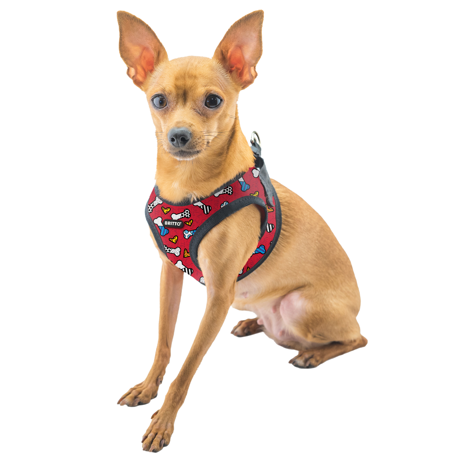 BRITTO® PET Small Dog Harness and Leash - Red Bones and Hearts