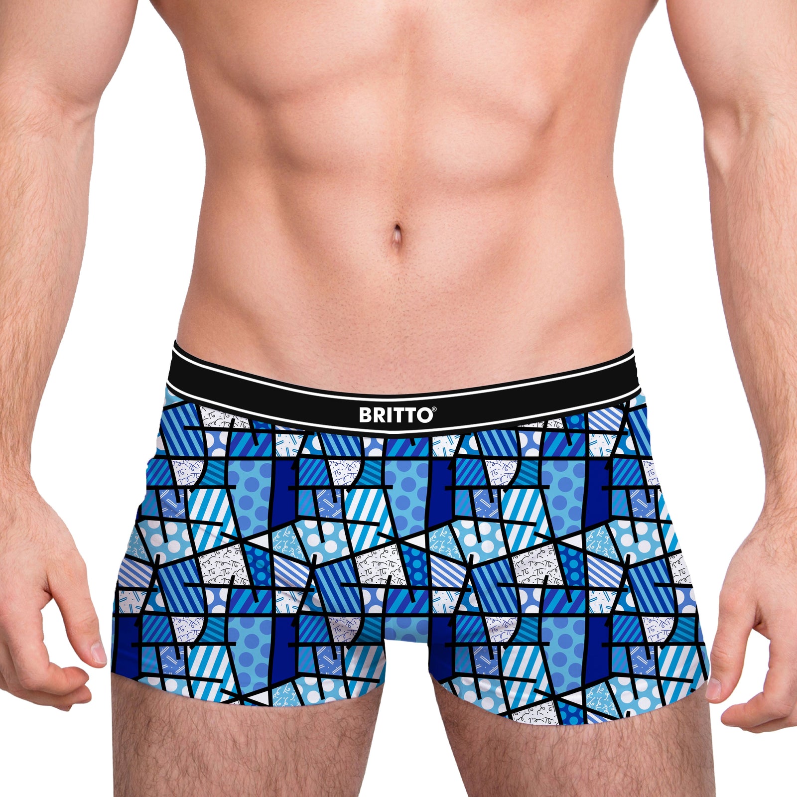 modern pop art blue landscape britto boxer brief vibrant home decor