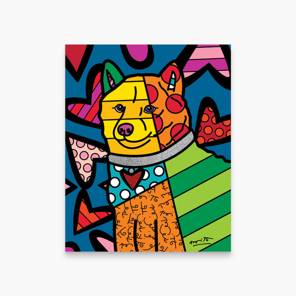 Shiba Inu (Our Best Friends Collection) - Limited Edition Print