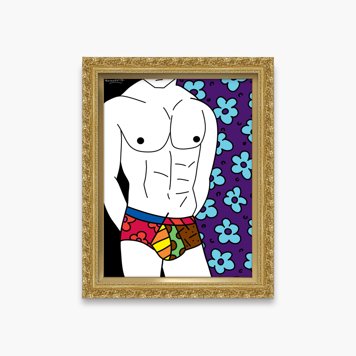 colorful underwear limited edition print  colorful decorative collectible gift idea