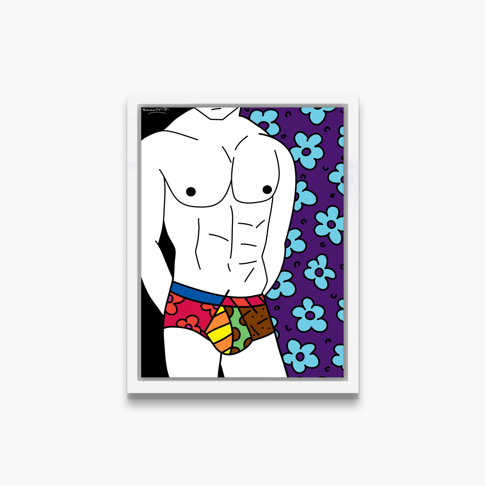 colorful underwear limited edition print  artistic colorful design collectible