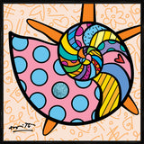 SUNNY ISLES SEASHELL- Limited Edition Print