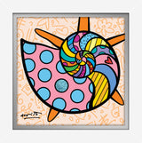SUNNY ISLES SEASHELL- Limited Edition Print