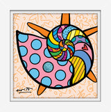 SUNNY ISLES SEASHELL- Limited Edition Print