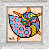 SUNNY ISLES SEASHELL- Limited Edition Print
