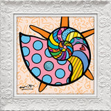 SUNNY ISLES SEASHELL- Limited Edition Print