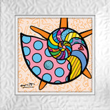 SUNNY ISLES SEASHELL- Limited Edition Print