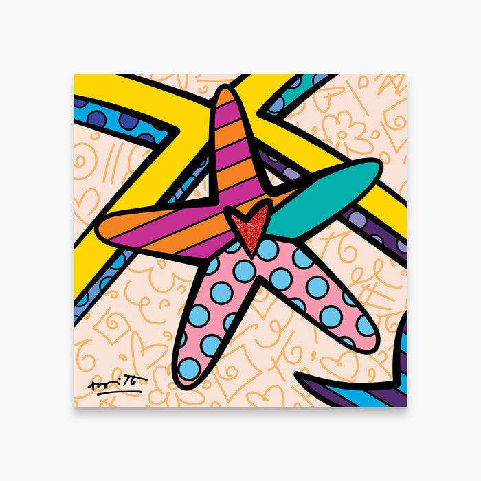 Sunny Isles Starfish- Limited Edition Print