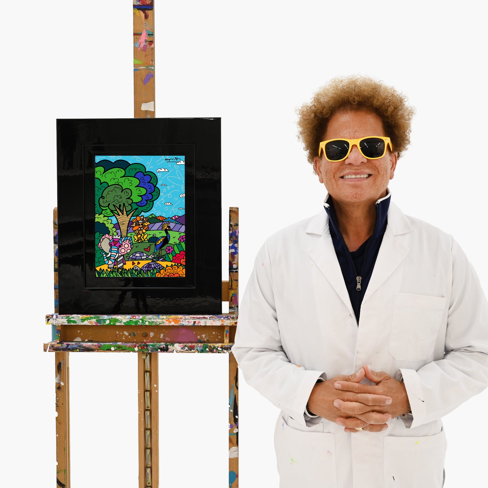 Romero Britto wild life iii limited edition  colorful pop art design