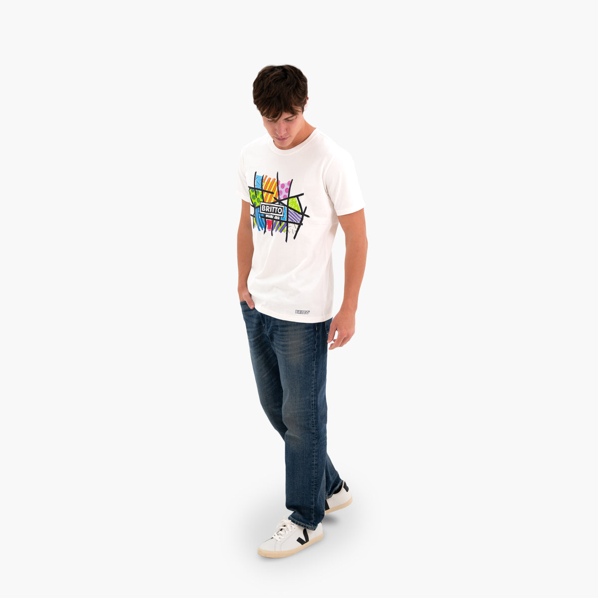 BRITTO® T Shirt - Colorful Landscape - (Men)