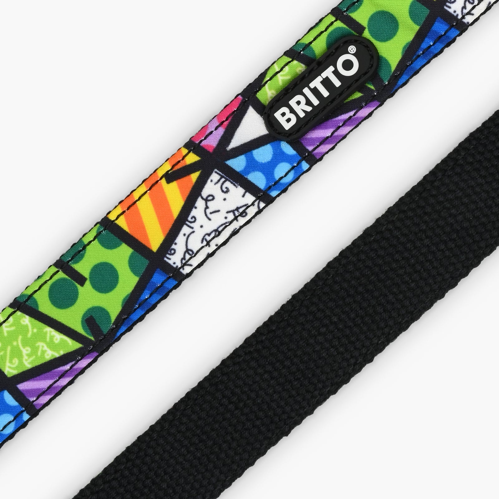 BRITTO® PET Collar and Leash  - Colorful Landscape