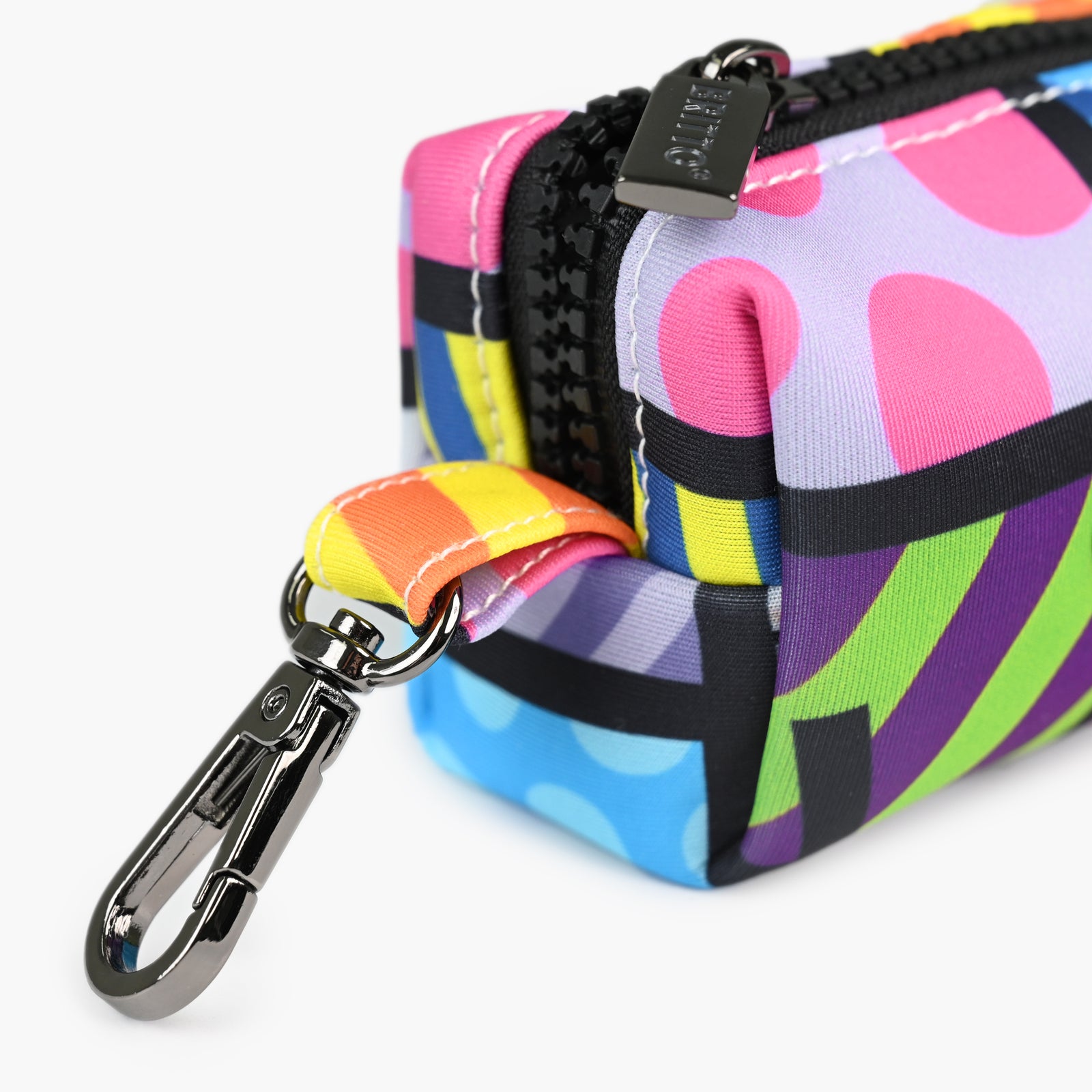 Romero Britto colorful landscape britto pet bag  contemporary pop art piece