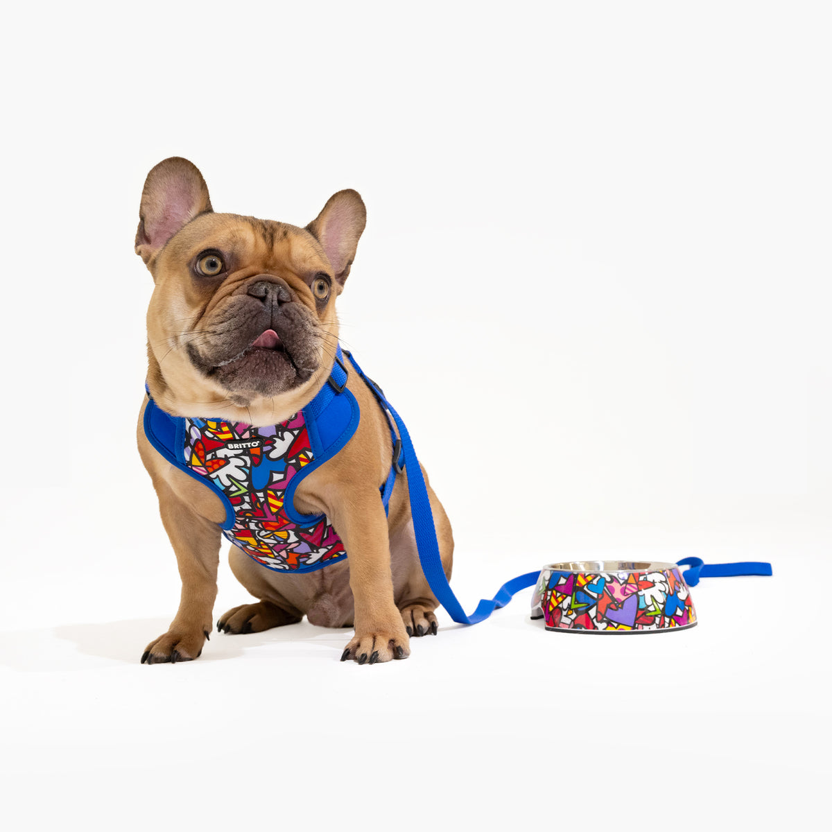 Alive (Blue) Britto Pet Harness