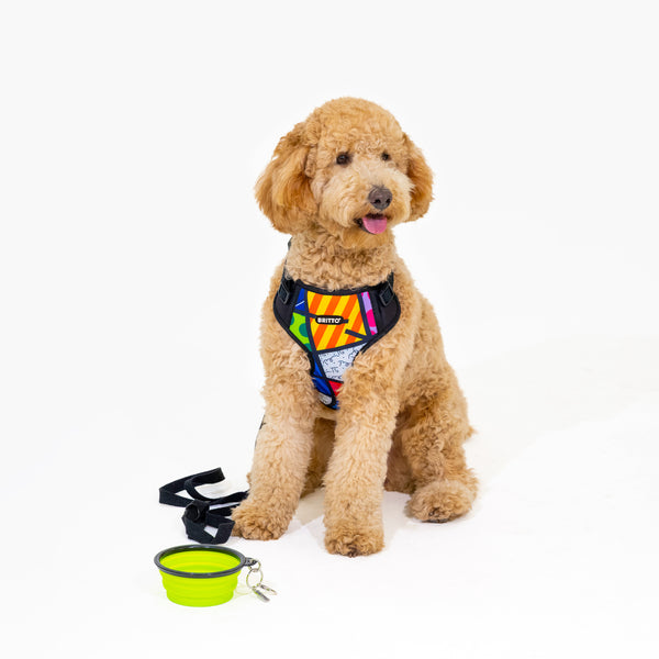 Colorful Landscape Britto Pet Harness