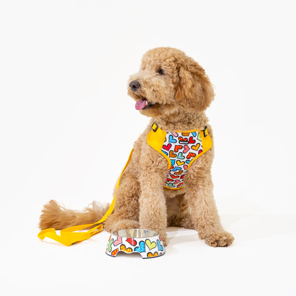 Hearts Britto Pet Harness