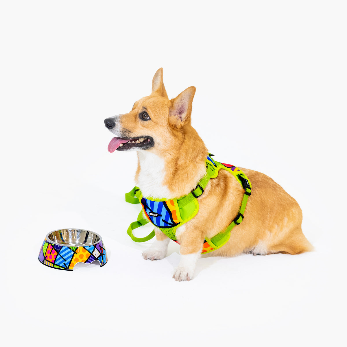 Lime Green Landscape Britto Pet Harness