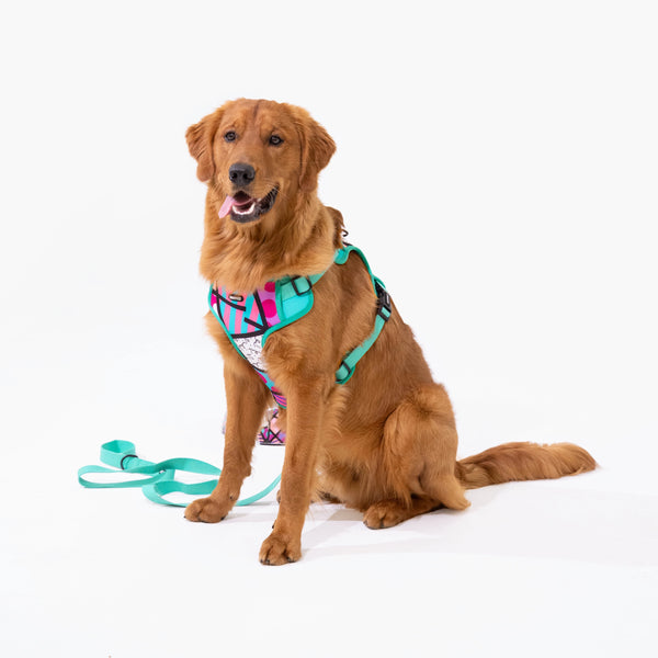 Pink Landscape Britto Pet Harness
