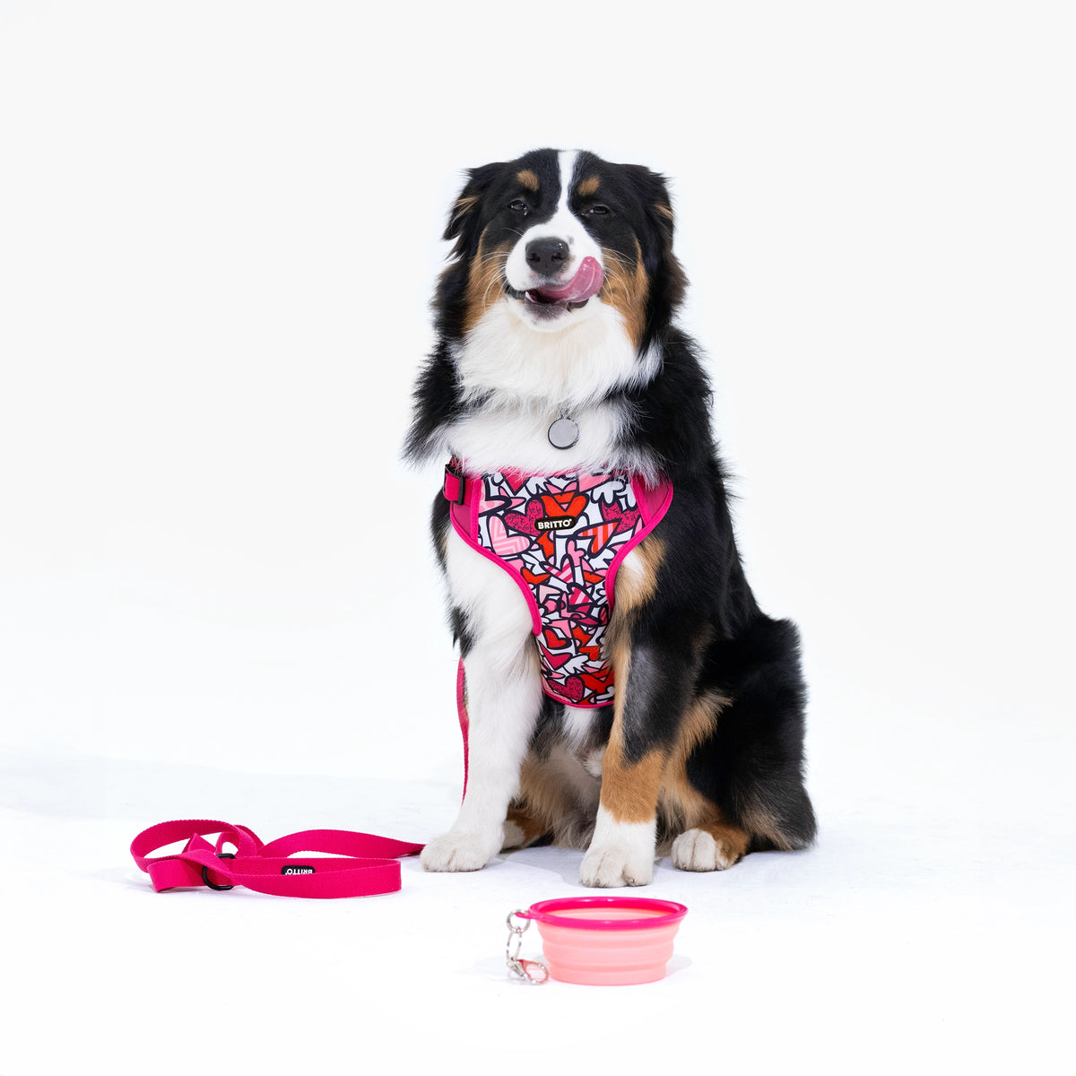 Alive (Pink) Britto Pet Harness