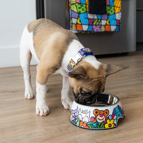 BRITTO Products Instagram
