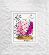 THOMAS COLLECTION (SEA SHELLS) - Original Drawing