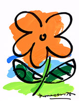 THOMAS COLLECTION (FLOWER) - Original Drawing