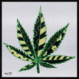 MEDICINAL SILVER - Limited Edition Print
