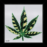 MEDICINAL SILVER - Limited Edition Print