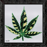 MEDICINAL SILVER - Limited Edition Print