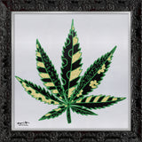 MEDICINAL SILVER - Limited Edition Print