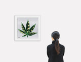 MEDICINAL SILVER - Limited Edition Print