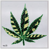 MEDICINAL SILVER - Limited Edition Print
